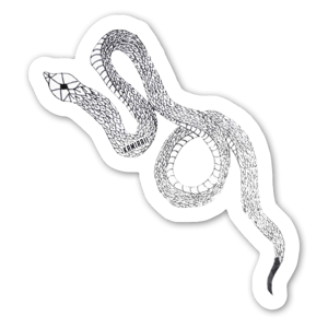 Young serpent living in a mystical forest where he met lot of witches. He is a good familiar. Please take care of him.