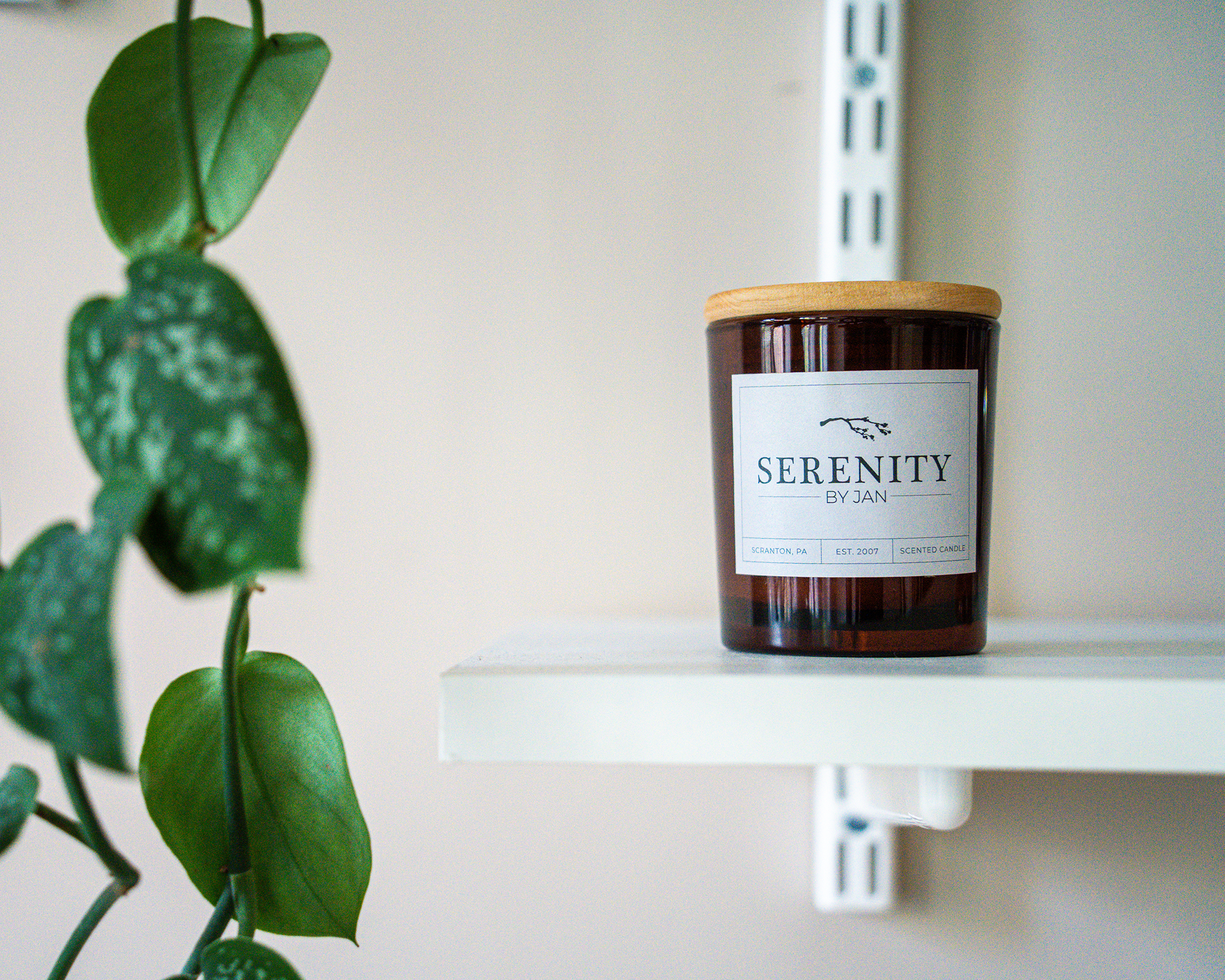 A brown glass scented candle with a wooden lid placed on a white shelf next to a green trailing plant.